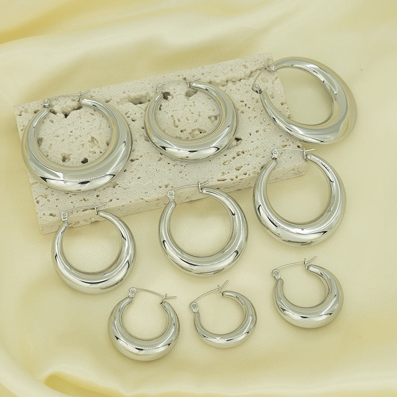 Exquisite Hoop earrings