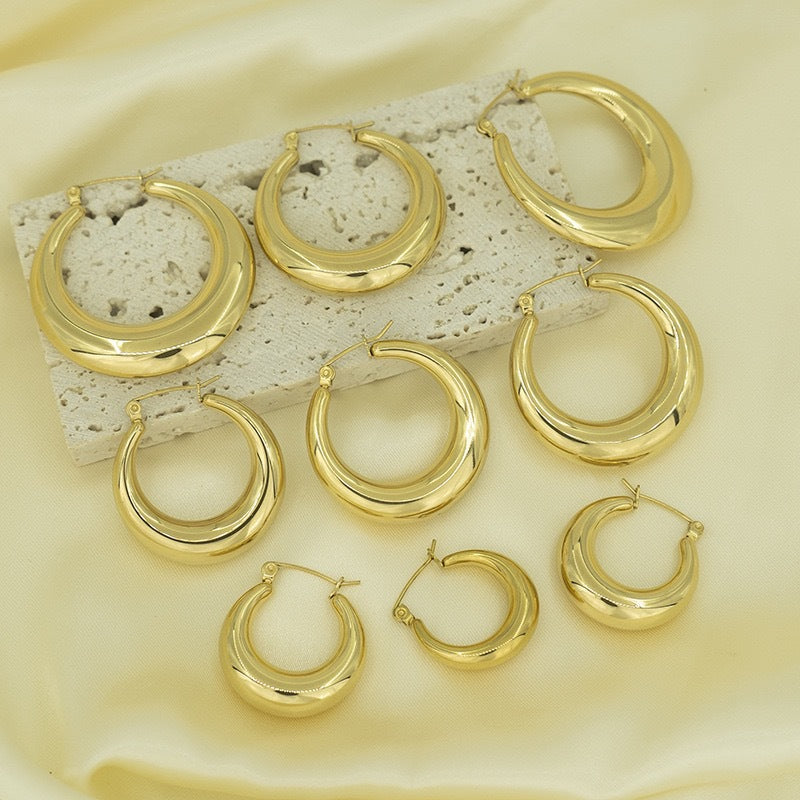 Exquisite Hoop earrings